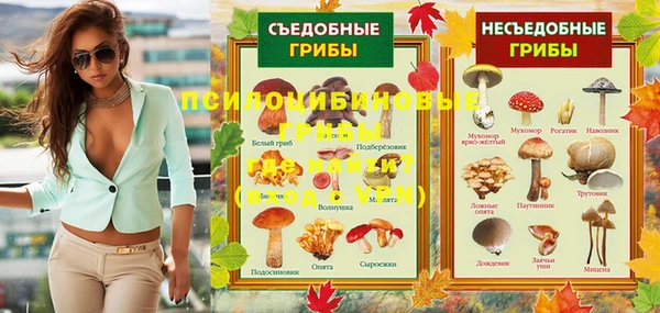 молекула духа Киренск