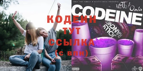 молекула духа Киренск