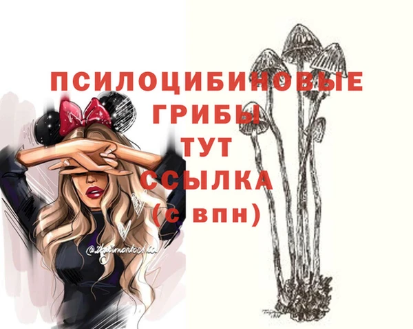 дурь Карпинск